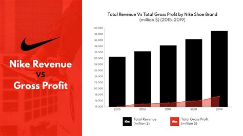 nike's financial performance